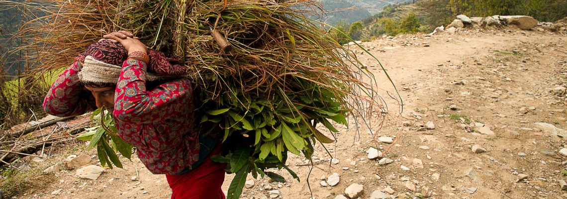 A Himalayan village women walking on a dirt road carrying fodder she gathered for her animals