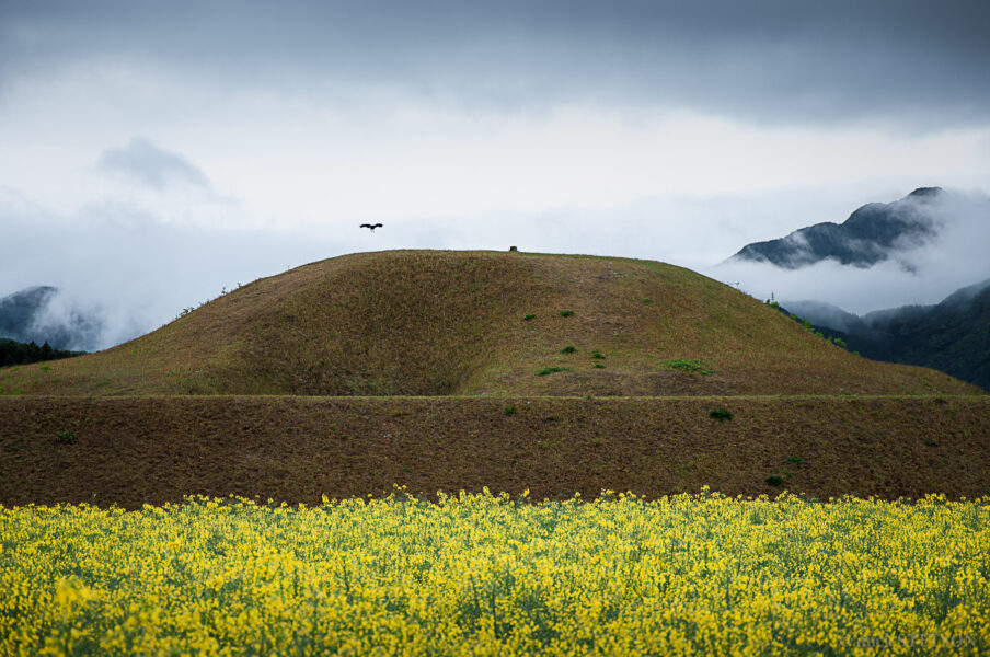 A burial tomb in the spring