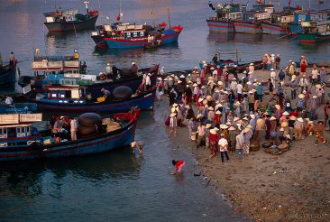 Just after dawn, the fishing port at Nha Trang bustles with activity — boats selling wholesale to fish vendors.