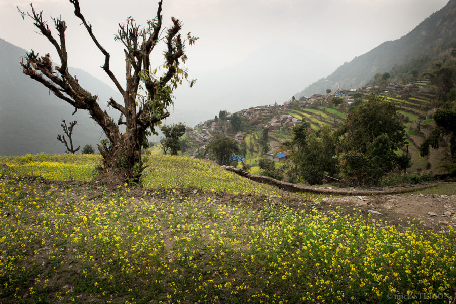 A mountain view along the Annapurna Himalayan range, overlooking a small traditional village.