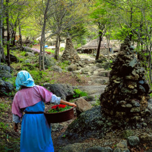 A traditional Korean woman walks with her foraged mountain vegetables through a forest with cairn markers