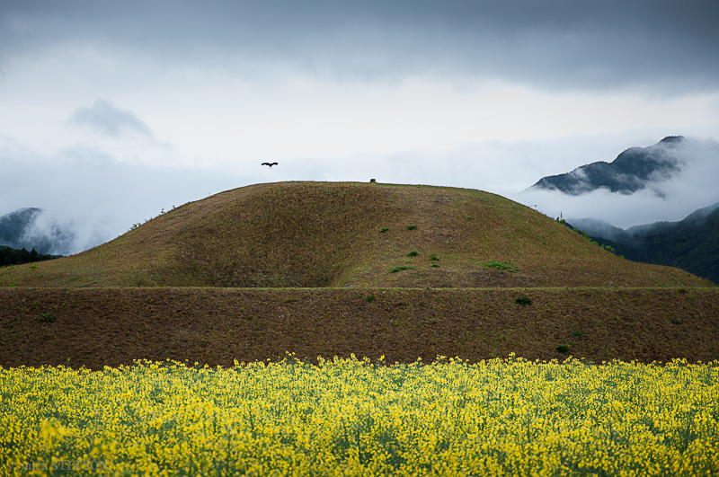 Saito Burial Mounds
